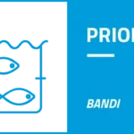 Bandi Priorità 2