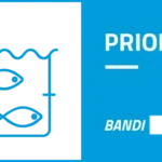 Bandi priorità 2 chiusi